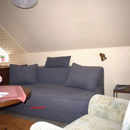 דירות Lautenthal Birkenstuebchen מראה חיצוני תמונה