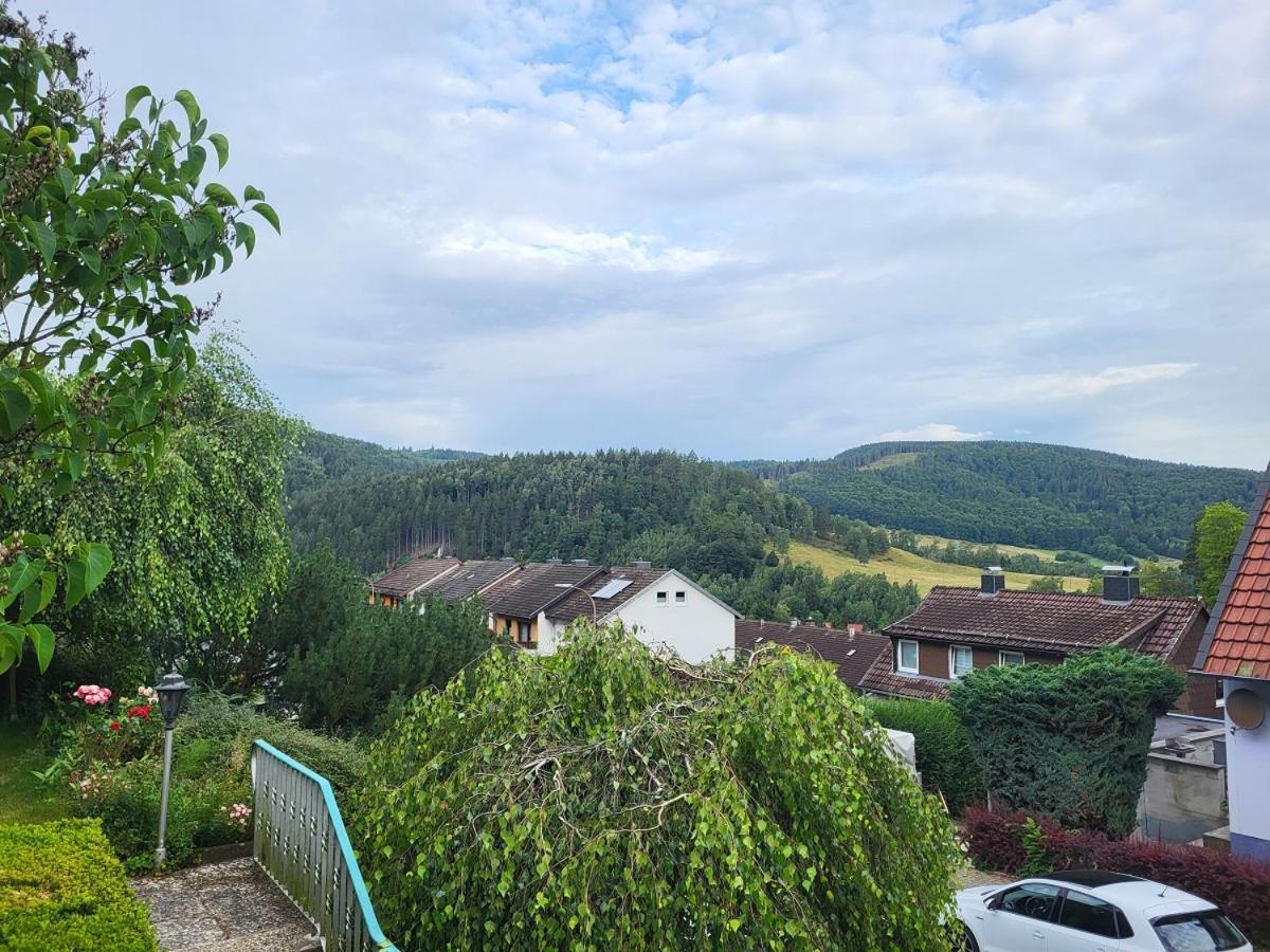 דירות Lautenthal Birkenstuebchen מראה חיצוני תמונה